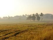 Karnataka – Coorg And Kabini