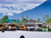 Delightful Kashmir