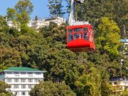 North East Delight With Pelling