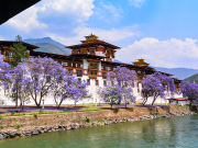 Discover Bhutan