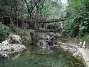Best of Meghalaya Tour Package