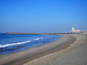 A Week in Gujarat: Dwarka, Somnath, Gir & More