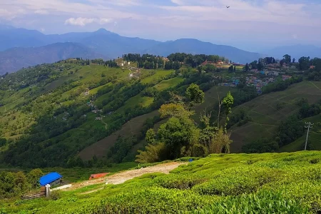 Explore Darjeeling: The Queen of the Hills
