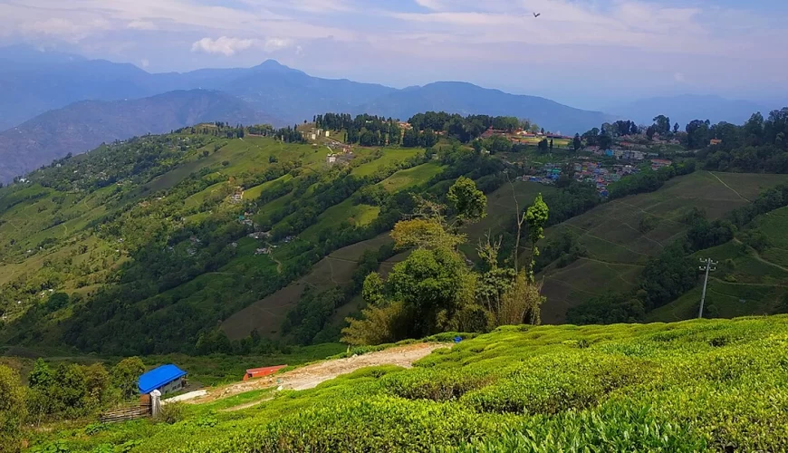 Explore Darjeeling: The Queen of the Hills