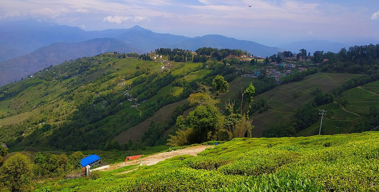 Explore Darjeeling: The Queen of the Hills